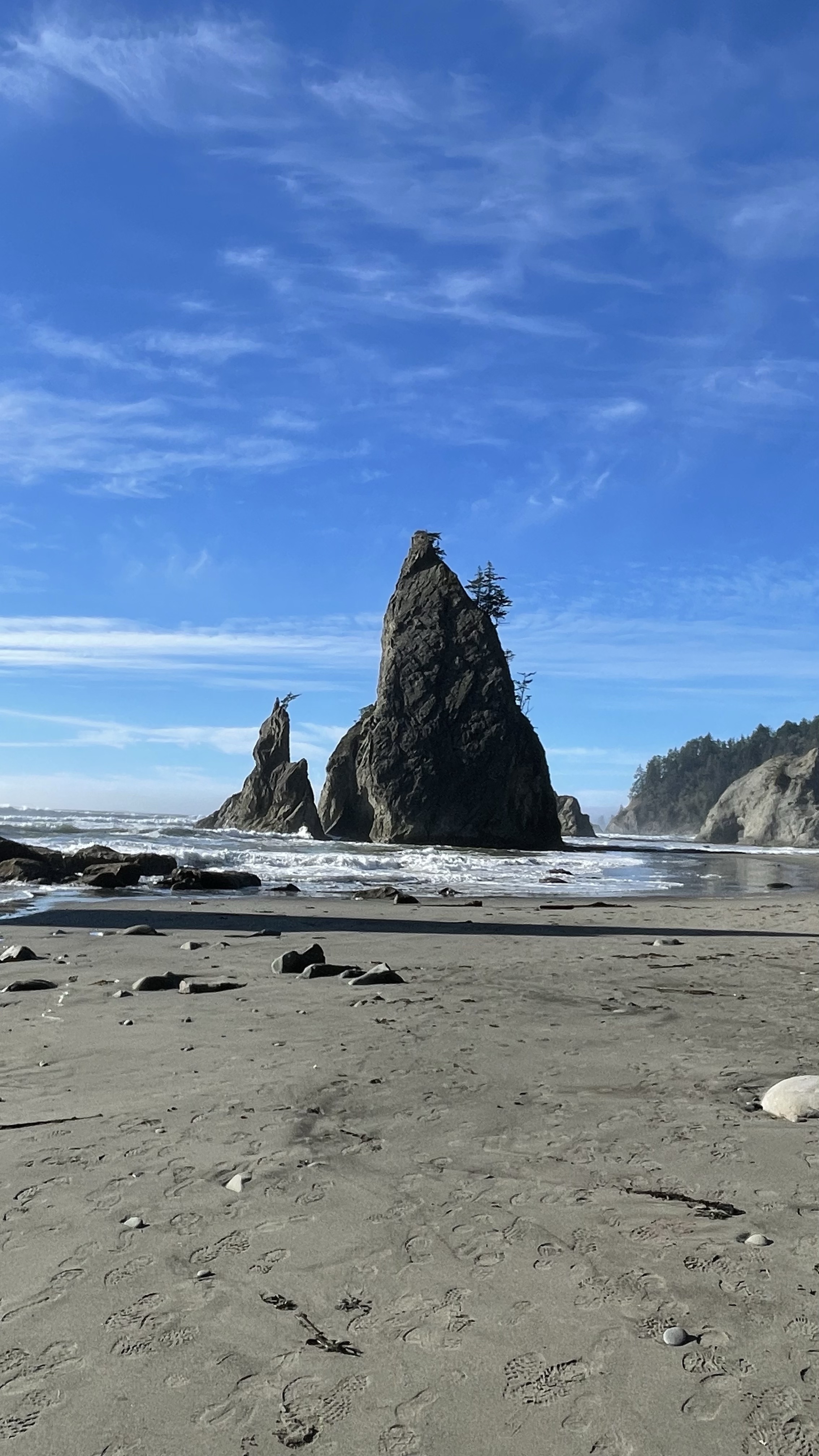 Louise Marie Taylor. Rialto Beach, Washington