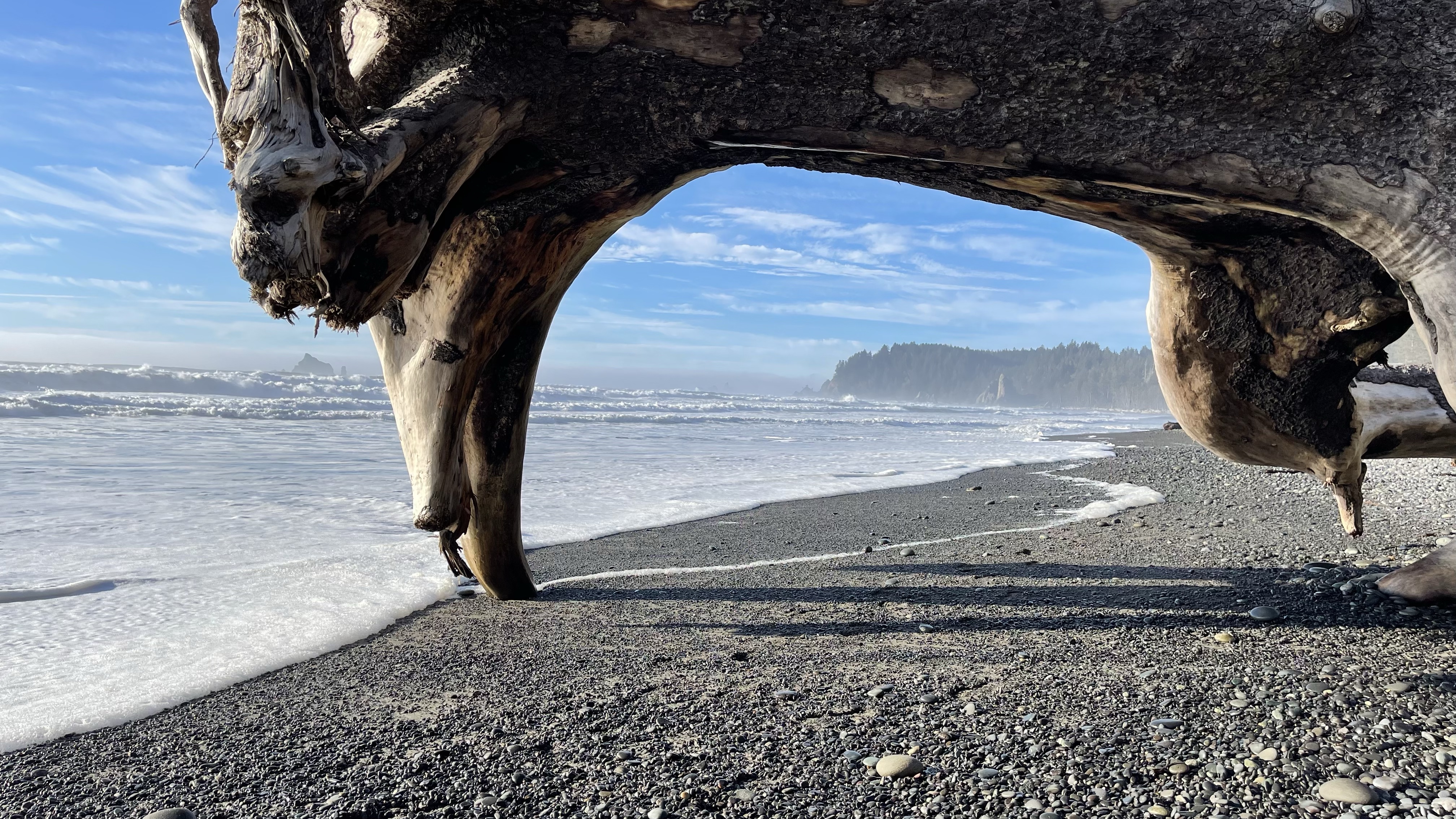 Riatlo Beach, WA. Louise Marie Taylor